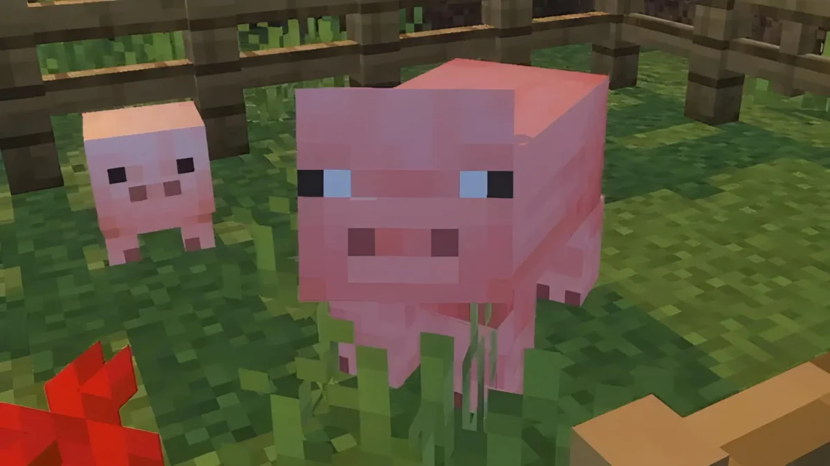 خوک‌های بازی ماینکرفت (Minecraft) در یک محوطه چمن با حصار چوبی